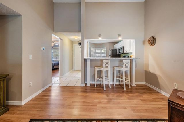 52 BRIGTON COURT, Safety Harbor, FL 34695