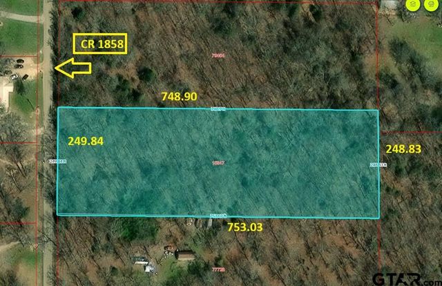 TBD 1858, Yantis, TX 75497