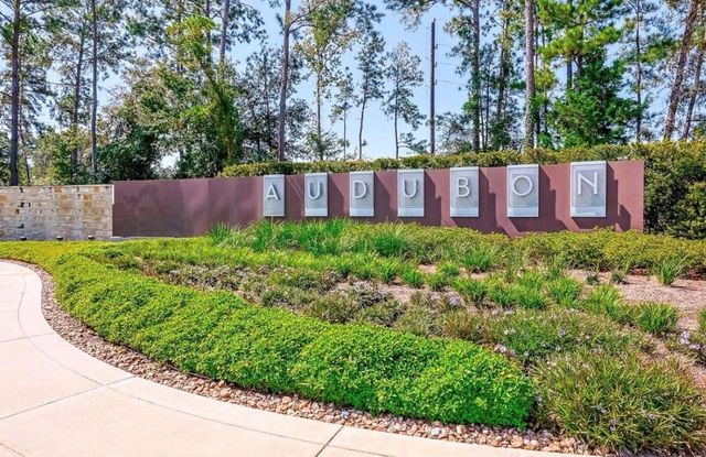 15211 Francolin Place, Magnolia, TX 77354