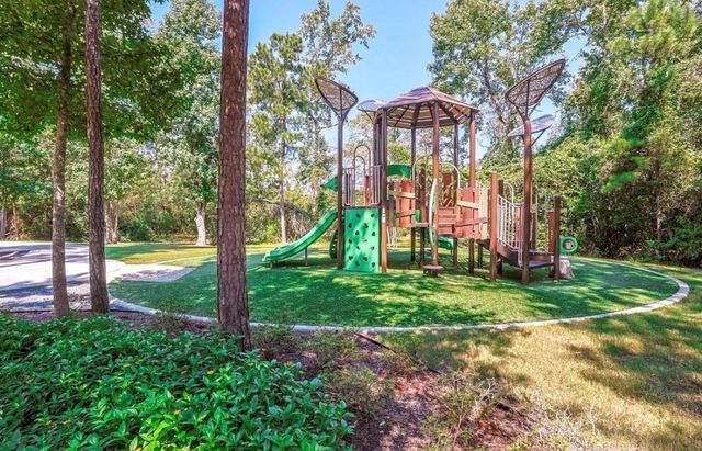 15211 Francolin Place, Magnolia, TX 77354