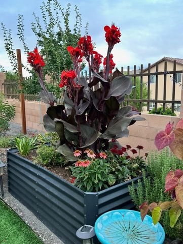 1770 Camino Cantera SW, Los Lunas, NM 87031