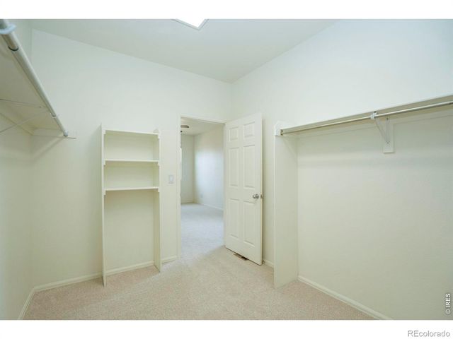 3610 Sunrose Street, Wellington, CO 80549