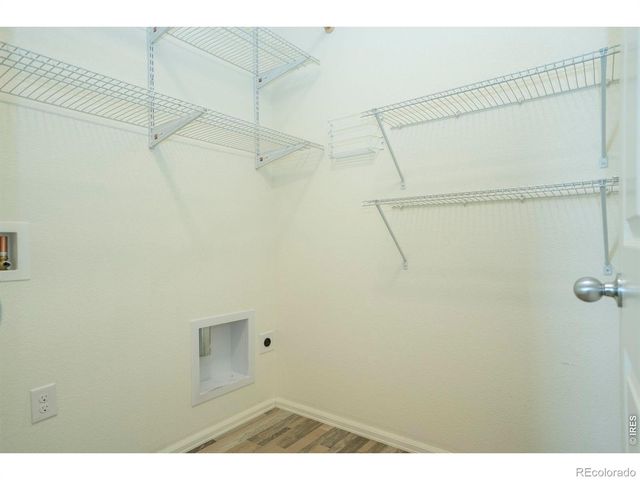 3610 Sunrose Street, Wellington, CO 80549