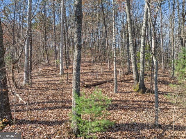 LOT 50 & 51 Meadow Crest Drive, Cleveland, GA 30528