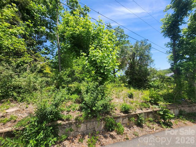 11 Weaver Hill Road, Asheville, NC 28805