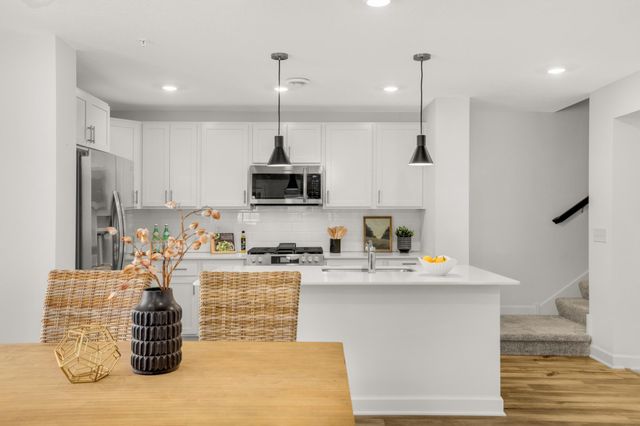 14925 Archdale Lane, Rosemount, MN 55068