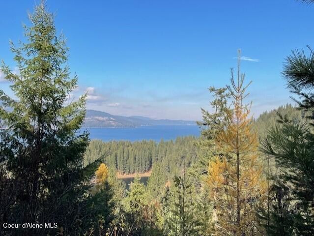 NKA 39-Ac Half Round Bay Rd, Harrison, ID 83833