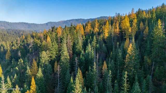 NKA 39-Ac Half Round Bay Rd, Harrison, ID 83833