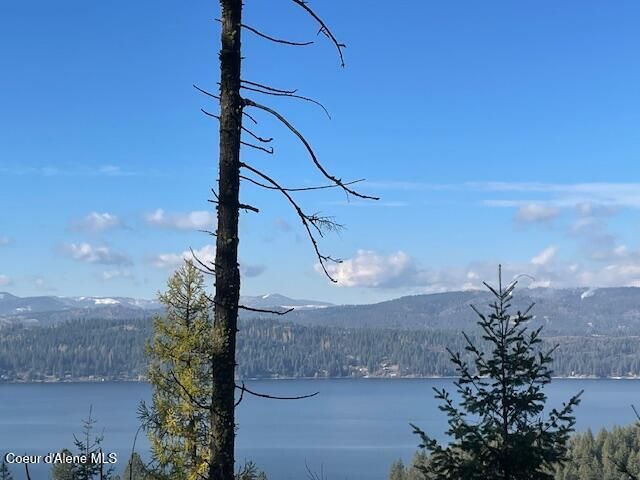 NKA 39-Ac Half Round Bay Rd, Harrison, ID 83833