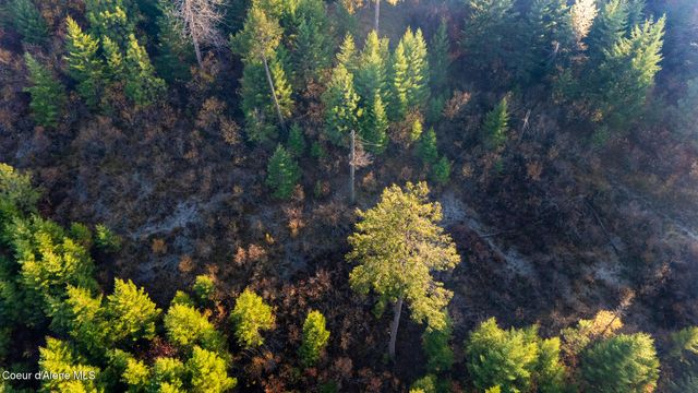 NKA 39-Ac Half Round Bay Rd, Harrison, ID 83833