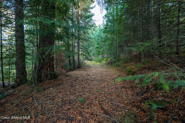 NKA 39-Ac Half Round Bay Rd, Harrison, ID 83833