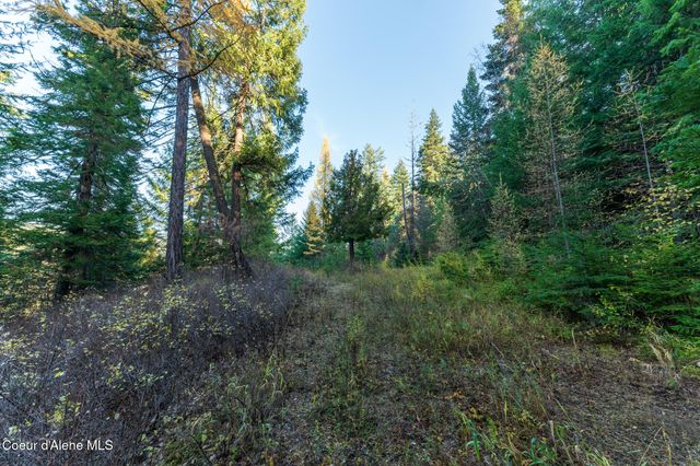 NKA 39-Ac Half Round Bay Rd, Harrison, ID 83833