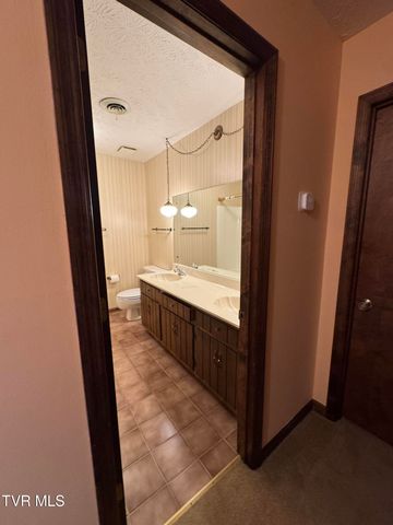 4 South Hills Circle, Johnson City, TN 37601