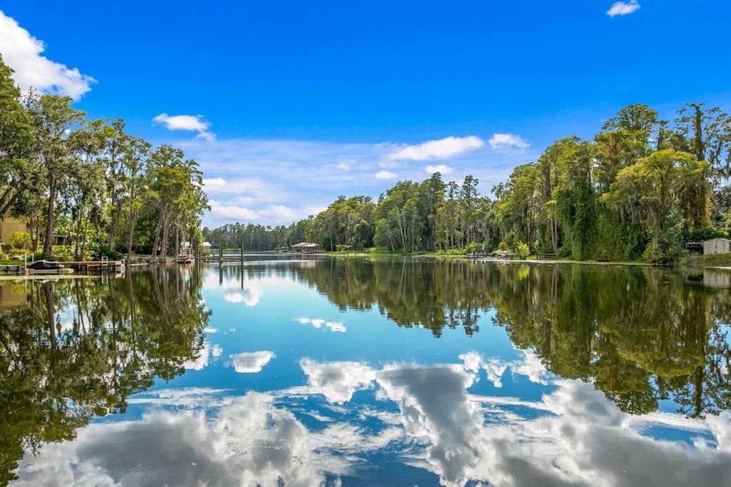 19116 FORREST DRIVE, Odessa, FL 33556