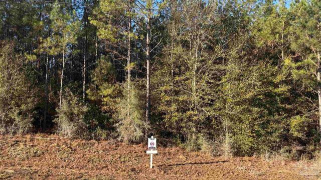 lot 69 Straw Bridge Rd, Allentown, FL 32565