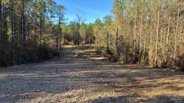 lot 69 Straw Bridge Rd, Allentown, FL 32565