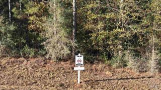 lot 69 Straw Bridge Rd, Allentown, FL 32565