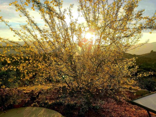 2620 Mar Vinga, Fallbrook, CA 92028