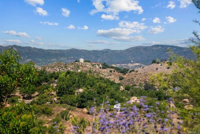 2620 Mar Vinga, Fallbrook, CA 92028