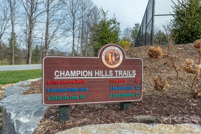 24 Falls Lane 391, Hendersonville, NC 28739