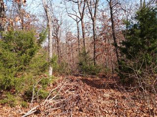 Lot#15 Fountainhall Lane, Bella Vista, AR 72715