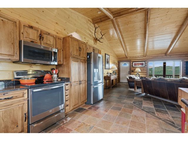 153 Hidden Canyon Dr, Livermore, CO 80536