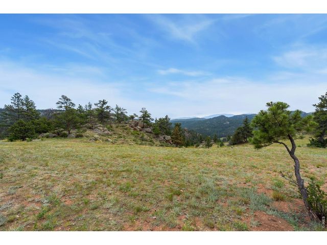 153 Hidden Canyon Dr, Livermore, CO 80536