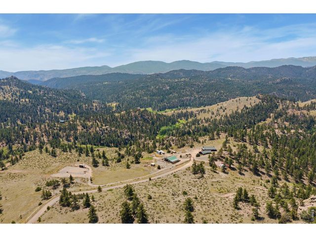 153 Hidden Canyon Dr, Livermore, CO 80536