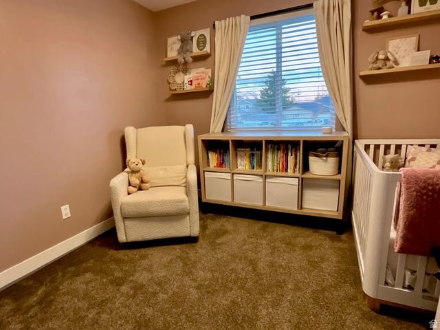 12294 S 1490 W, Riverton, UT 84065