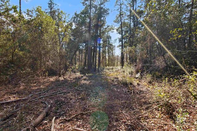 10736 County Road 83, Elberta, AL 36530