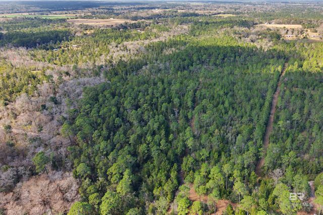 10736 County Road 83, Elberta, AL 36530