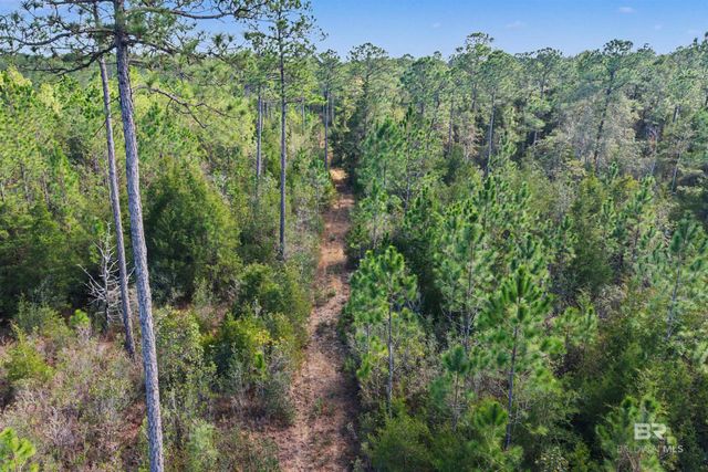 10736 County Road 83, Elberta, AL 36530