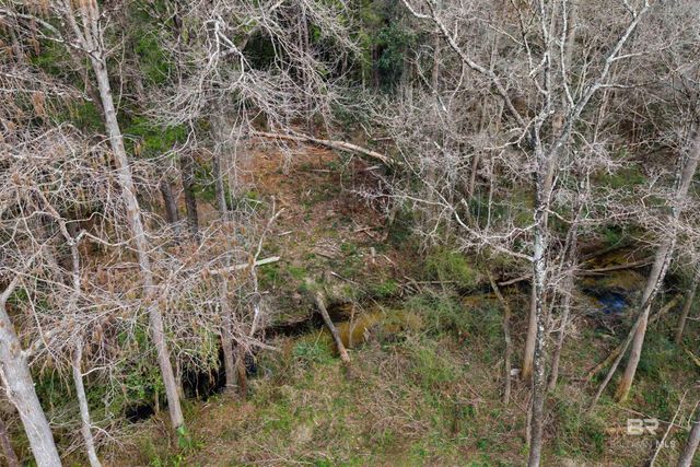 10736 County Road 83, Elberta, AL 36530