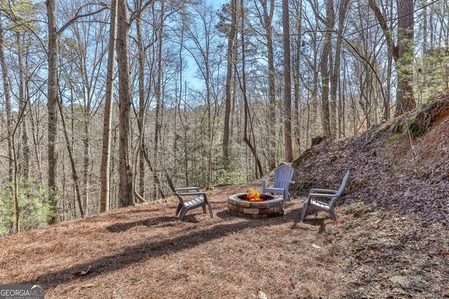 56 Olaf Court, Ellijay, GA 30540