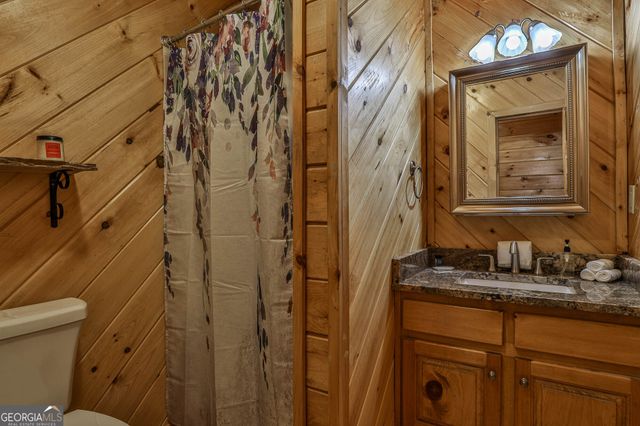 56 Olaf Court, Ellijay, GA 30540