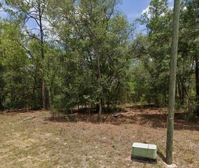 11304 N FUEGO DRIVE, Citrus Springs, FL 34434