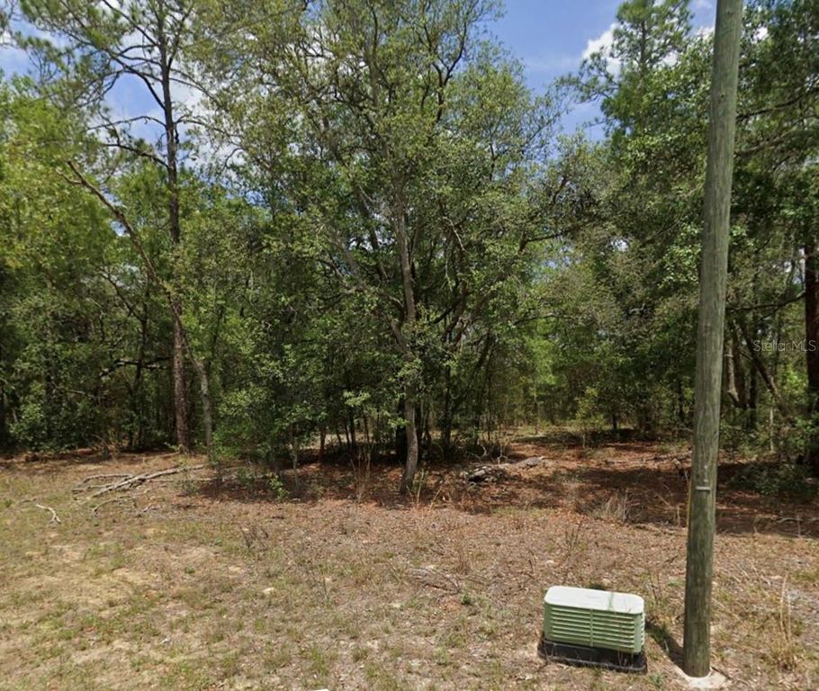 11304 N FUEGO DRIVE, Citrus Springs, FL 34434
