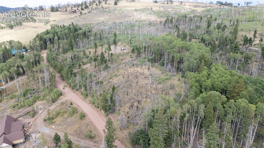 Lot 2571 Andes Loop, Fort Garland, CO 81133 — photo 2