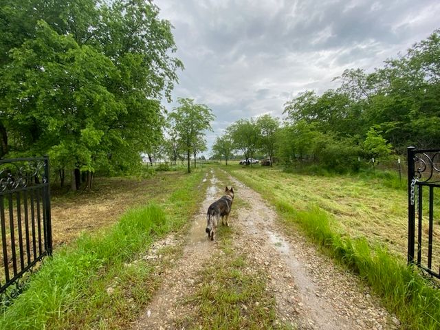 37444 STATE HIGHWAY 64, Wills Point, TX 75169