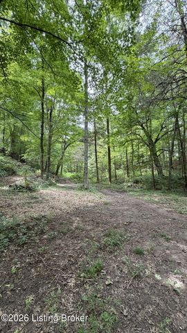 16812 Aiken Rd, Louisville, KY 40245