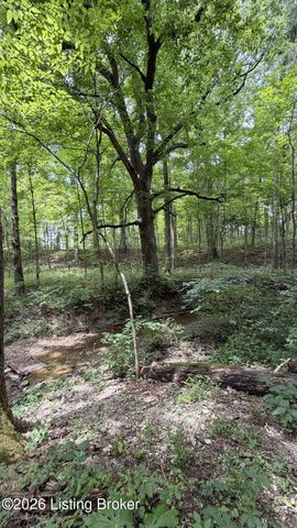 16812 Aiken Rd, Louisville, KY 40245