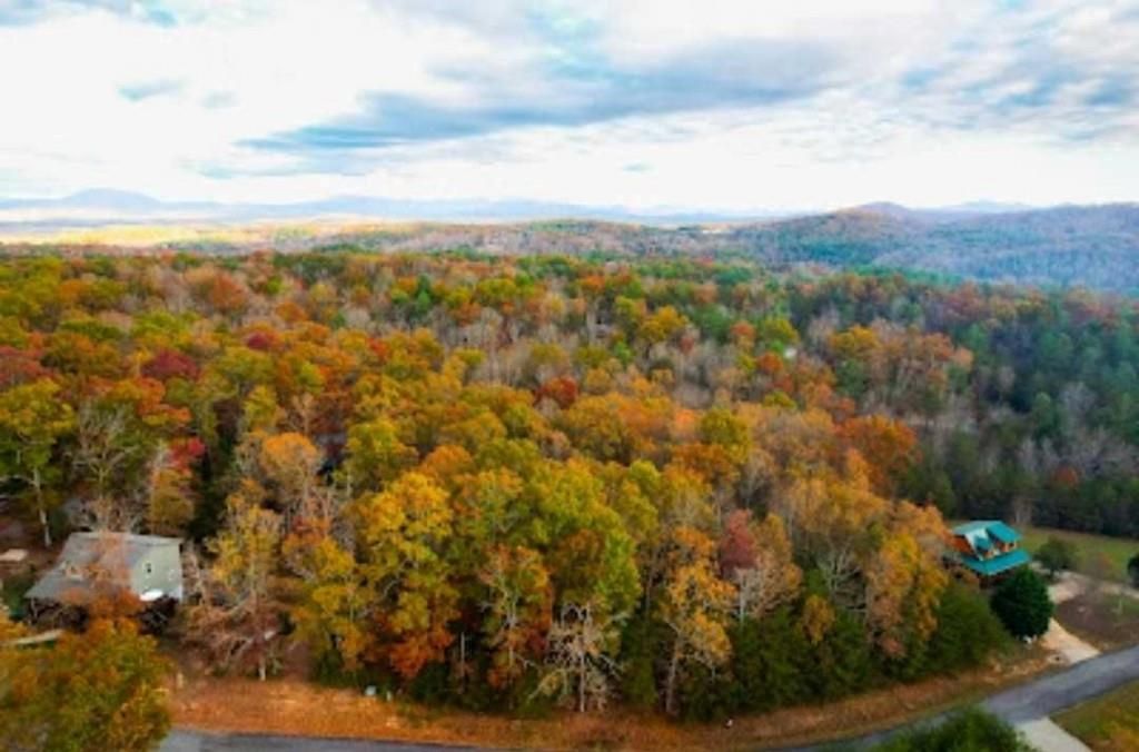 0 Harbin Court, Morganton, GA 30560