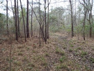 143 Dixon, Cordesville, SC 29434