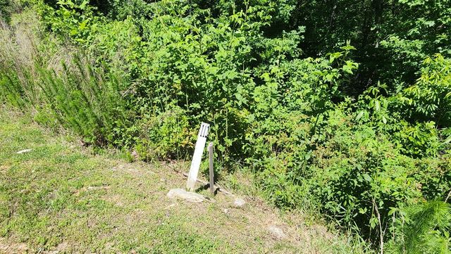 lot 112 Jakes Landing Overlook, Ellijay, GA 30540