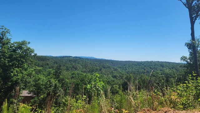 lot 112 Jakes Landing Overlook, Ellijay, GA 30540
