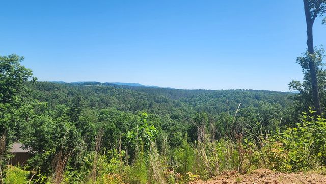 lot 112 Jakes Landing Overlook, Ellijay, GA 30540
