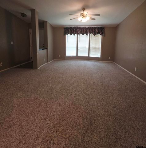 528 County Road 3980, Winnsboro, TX 75494