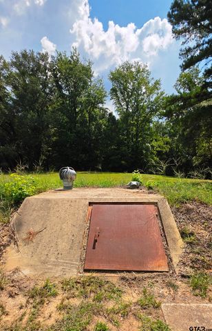 528 County Road 3980, Winnsboro, TX 75494