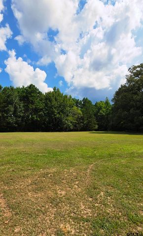 528 County Road 3980, Winnsboro, TX 75494