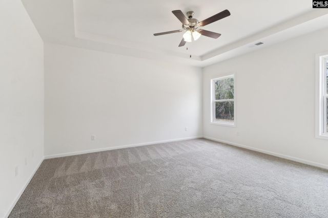 518 Griffon Drive, Chapin, SC 29036